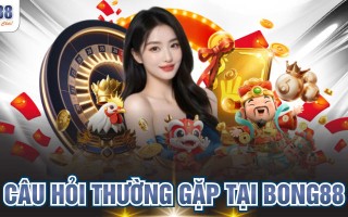 Giải Đáp Câu Hỏi Thường Gặp Tại BONG88 Chính Xác Nhất